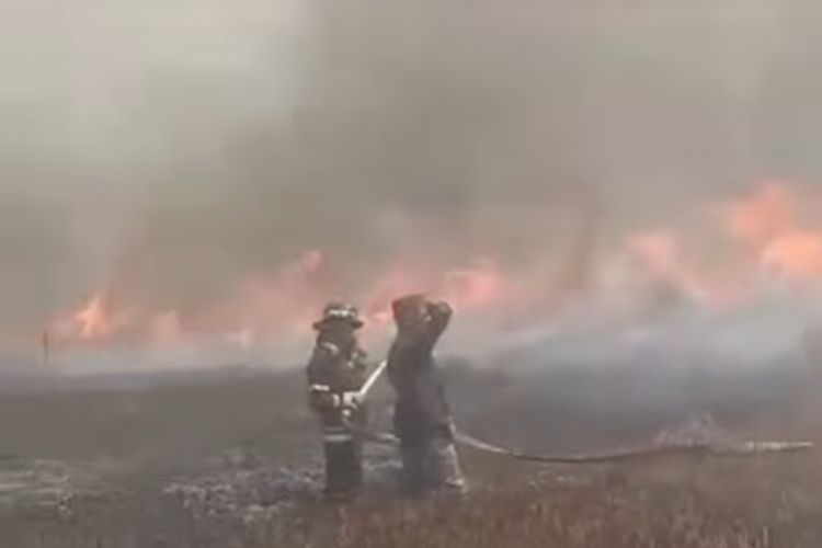 Dua orang petugas gabungan berusaha memadamkan kebakaran lahan di Banjarbaru, Kalsel, Selasa (27/6/2023). 