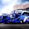 PO Putra Remaja Rilis Tiga Bus Baru dari Karoseri Morodadi Prima