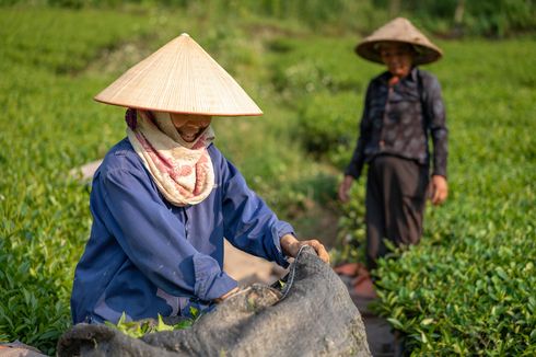 Pengertian, Ciri-ciri, Kelebihan, dan Kekurangan Sistem Ekonomi Tradisional