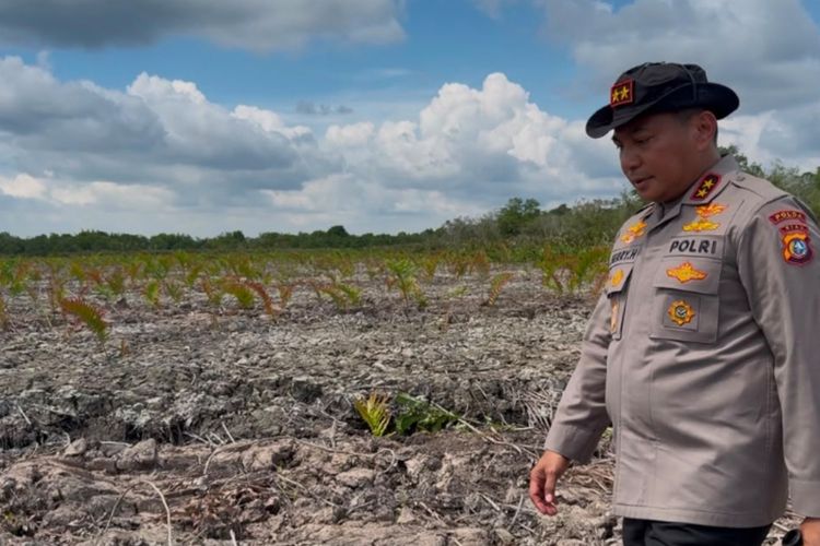 Geram Hutan Mangrove Digunduli, Kapolda Riau: Diduga Sengaja demi Kepentingan Pribadi
