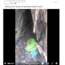 Video Viral Ular Hijau Melingkar di Samping Rumah Warga, Apa Jenisnya dan Berbahayakah?