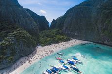 Maya Bay Buka Lagi untuk Turis, tapi Bisa Ancam Keberlangsungan Hiu