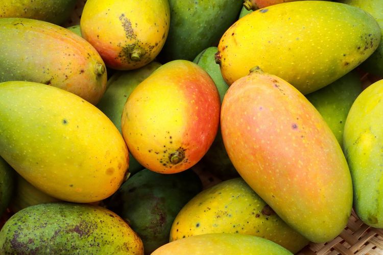 5 Cara Menyimpan Mangga agar Tetap Manis dan Segar Lebih Lama