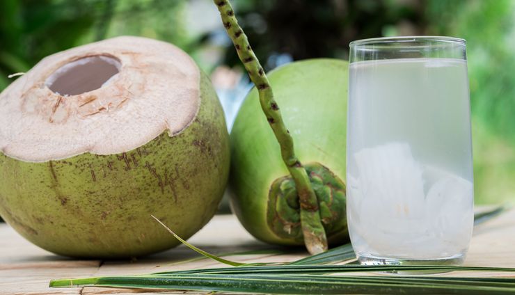 Cara Membuat Pupuk Cair dari Air Kelapa dan Manfaatnya