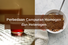 Perbedaan Campuran Homogen dan Heterogen