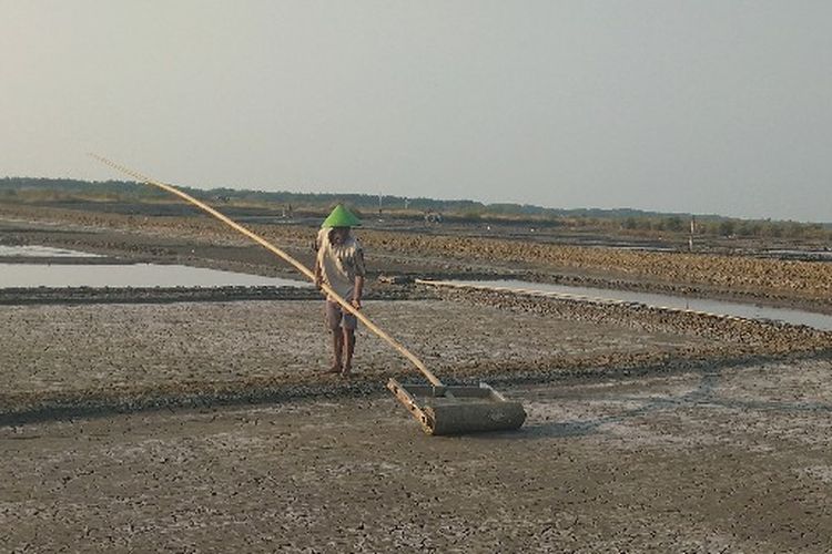 Petani di Desa Sawo Jajar, Kecamatan Wanasari, Kabupaten Brebes, Jawa Tengah mulai kembali produksi garam, Senin (20/6/2023).