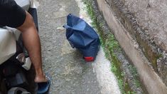 Kronologi Penemuan Bayi dalam Tas di Pati, Ditinggal di Lorong Jalan Desa