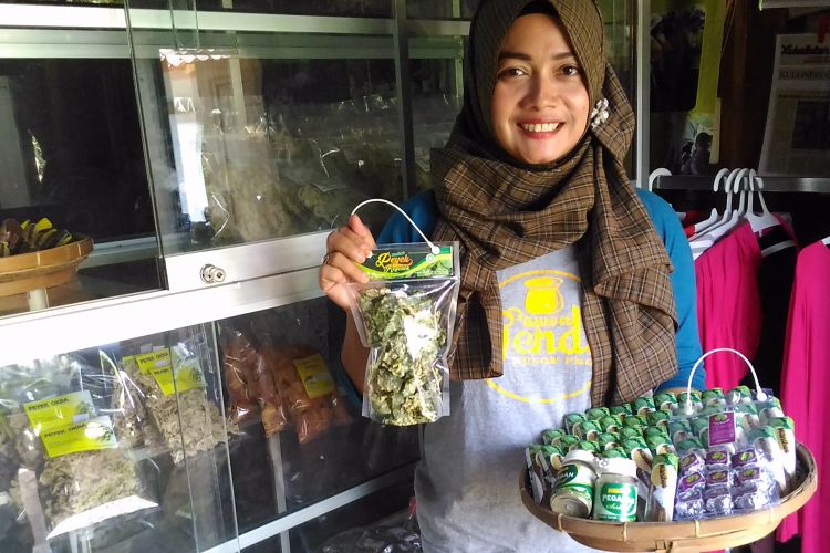 Ketua Kelompok Wanita Tani (KWT) Pawon Gendis, Dwi Martuti Rahayu (34), memamerkan produk makanan olahan dari daun pegagan di Pedukuhan Salakmalang, Desa Banjarharjo, Kecamatan Kalibawang, Kabupaten Kulon Progo, DI Yogyakarta, Rabu (24/5/2017). 