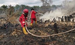 Pemilu Makin Dekat, Pemimpin Terpilih Dituntut Lindungi Lahan Gambut