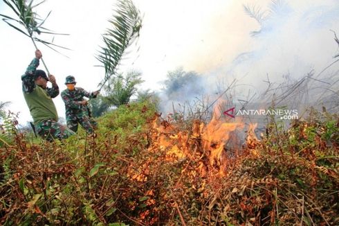 20 Hektare Lahan Terbakar di Nagan Raya Aceh