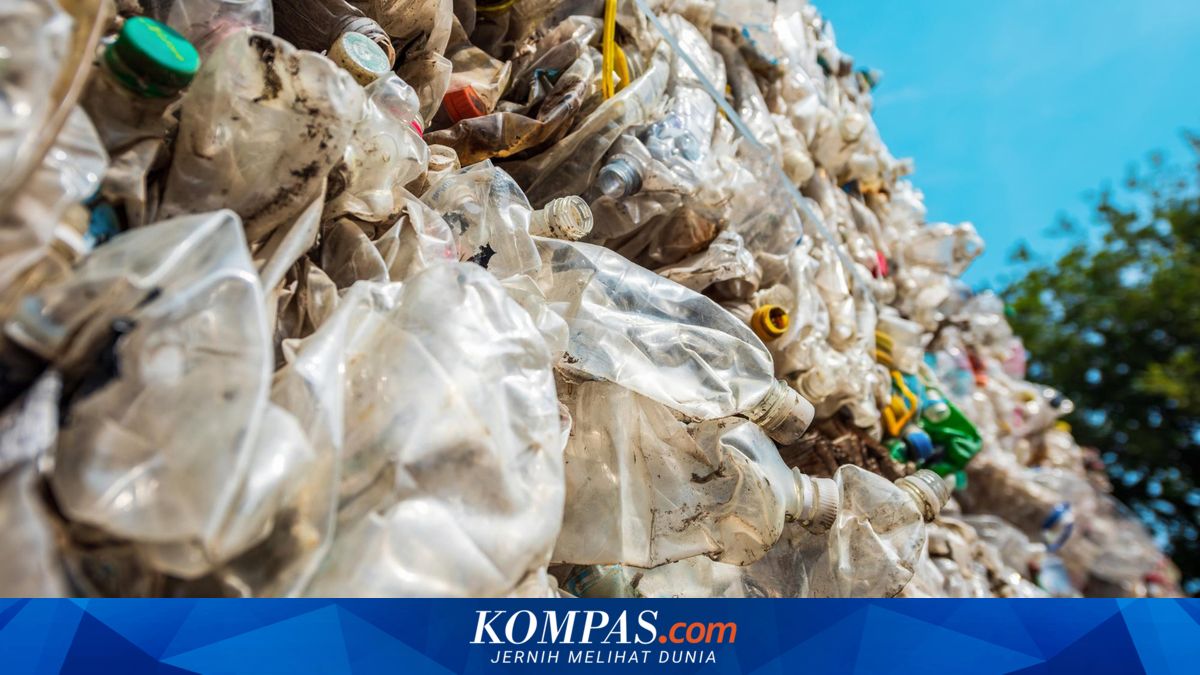 Jangan Cuma Buang Sampah, Warga Diminta Segera Mulai Pilah dari Rumah