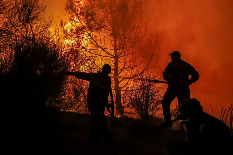 DPRD Jambi Sepakat Bentuk Pansus Karhutla, Bahas Penanganan hingga Anggaran