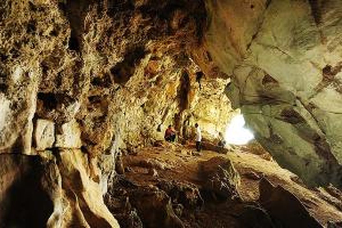 Goa yang digunakan manusia purba untuk bertahan hidup yang di dalamnya terdapat sisa makanan berupa kulit kerang dan sampah dapur di Leang Bulu Sipong, Kabupaten Maros, Sulawesi Selatan.