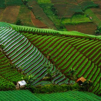 Lembah Panyaweuyan, Sawah Terasering Instagramable di Majalengka