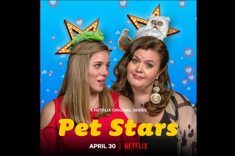 Poster film Pet Stars.