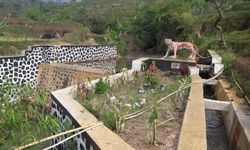 Berkat Dam Parit, Produksi Padi Poktan Sinar Wangi Meningkat 