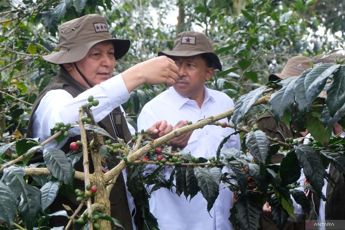 Kawasan Terpadu Nusantara (KTN) dibangun  oleh Badan Nasional Penanggulangan Terorisme (BNPT) dan Pemerintah Kabupaten Temanggung di Desa Bansari yang berlokasi di lereng Gunung Sindoro