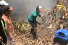 Peralatan Seadanya, Warga Kesulitan Padamkan Api di Hutan Lindung Polewali