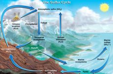 Daur Sulfur: Pengertian dan Proses Terjadinya