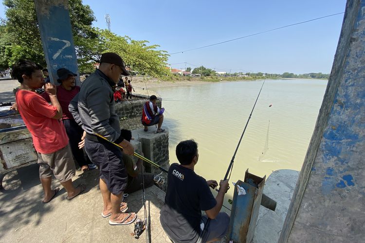 Kemarau Panjang Buat Waduk Bojongsari Indramayu Surut, Sungai Cimanuk Lama juga Mengering