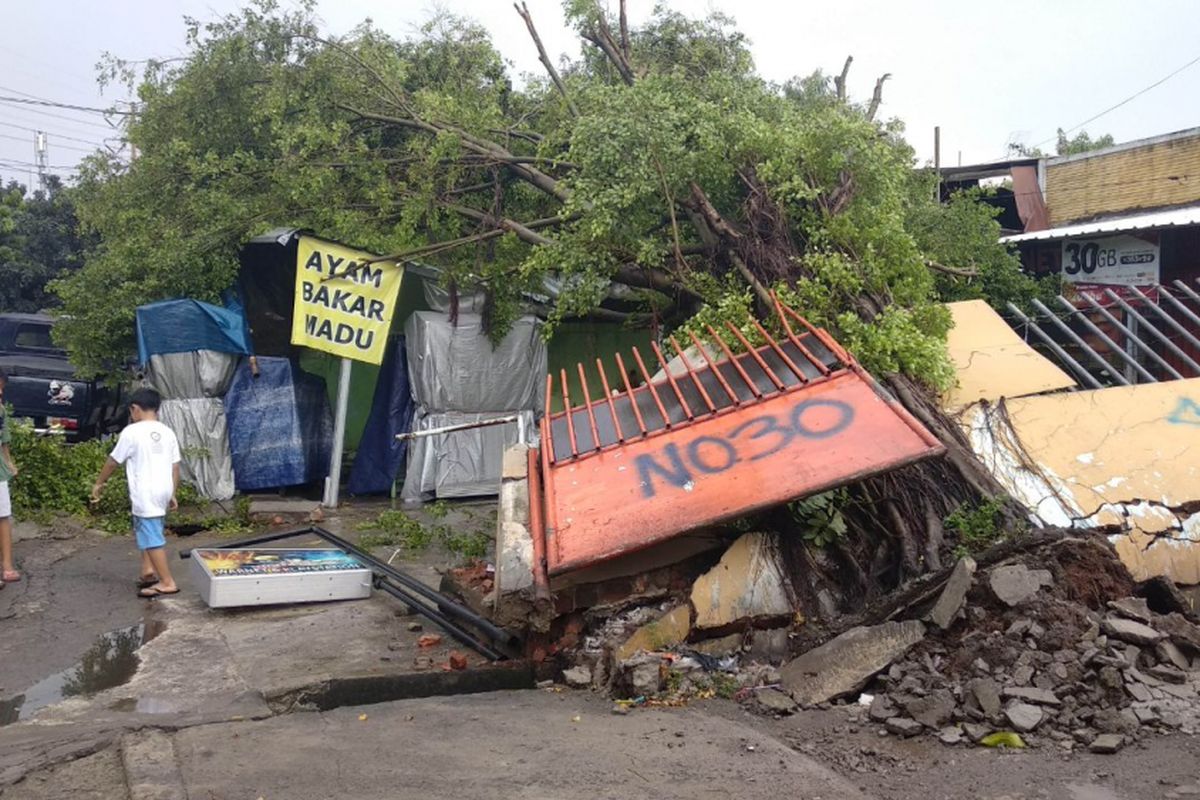 Pohon tumbang di Cipinang Jaya, Jakarta Timur, Kamis (22/3/2018)