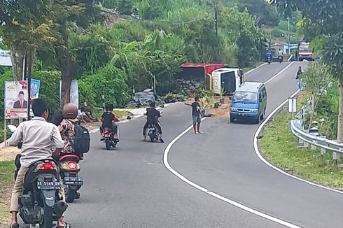 Tak Kenal Jalur, Truk Bibit Pohon Kelapa Terguling di Bondowoso