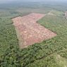 Saat 120 Hutan Suaka Margasatwa di Riau Dirambah, Rumah Harimau Sumatera, Gajah, hingga Tapir Terancam