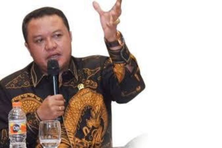 Wakil Ketua Komisi VII DPR RI Lamhot Sinaga. 