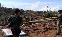 Kemenhut: 6.000 ha TN Kerinci Seblat Dirambah, Satu Orang Jadi Tersangka