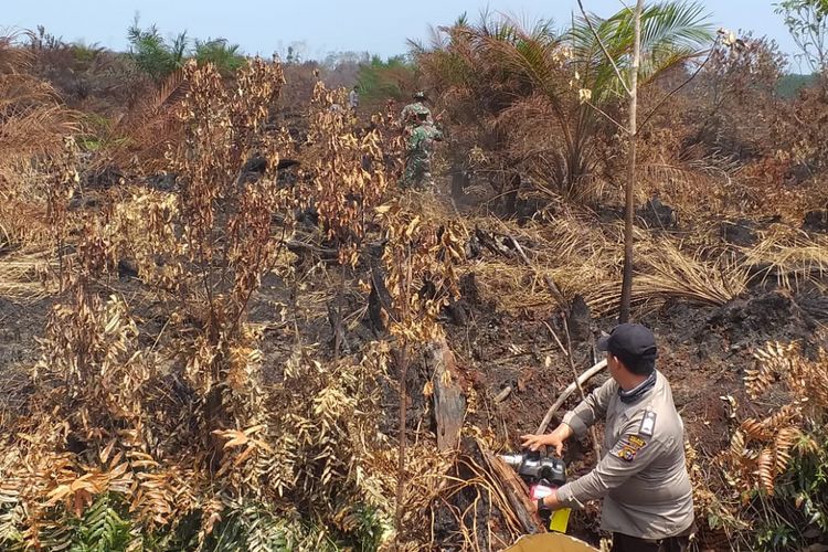Tim Satgas Karhutla memadamkan sisa api di dalam gambut yang masih mengeluarkan asap tipis di Jalan Teladan, Kelurahan Terkul, Kecamatan Rupat, Kabupaten Bengkalis, Riau, Jumat (1/3/2019).