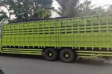 Bawa 40 Ton Batu Bara Ilegal di Muara Enim, Sopir Truk Tronton Ditahan