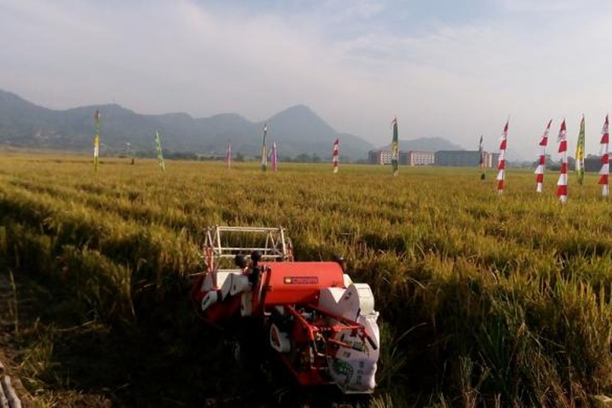 Gerakan Peningkatan Luas Tambah Tanam dan Serap Gabah Petani di Kutawaringin, Soreang, Bandung, Jawa Barat, Rabu (20/7/2016).