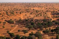 Tak Ada Hutan di Gurun Pasir, Kenapa Gurun Sahara Punya Jutaan Pohon?
