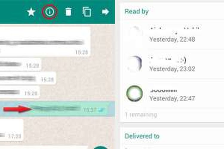 Ini Tanda Pesan di Grup WhatsApp Sudah Dibaca