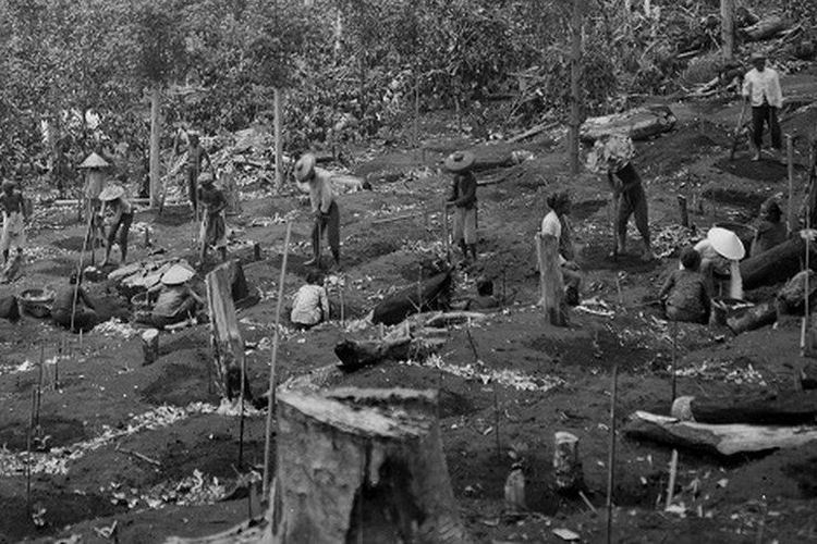 Pembukaan perkebunan di kawasan Priangan sekitar tahun 1907-1937. Era budidaya tanaman kopi berdasarkan kerja paksa dimulai di Priangan pada awal abad ke-19. Konsep ini disebut Preangerstelsel. Sistem inilah yang kemudian mengilhami Cultuurstelsel atau tanam paksa di berbagai wilayah di Hindia Belanda.