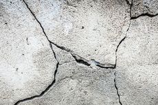 [POPULER JABODETABEK] Gempa Garut Terasa di Jabodetabek, Kasus Imam Dipukuli Jamaah Berakhir Damai, dan 2 Gempa Besar Melanda Jabar