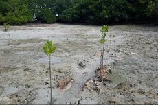 Synthesis Development Donasikan Rp 424 Juta untuk Ekowisata Wakatobi