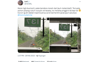 Viral, Twit 2 "Bocil" Geser Pohon Tumbang Tutupi Rel Dipuji ...