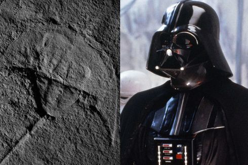 Fosil Berusia 245 Juta Tahun Ini Dibilang Mirip Darth Vader, Setuju?