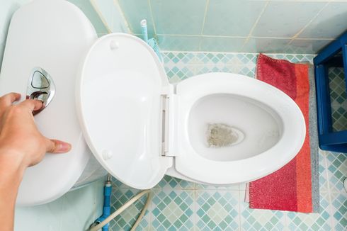 Banyak yang Belum Tahu, Siram Toilet Duduk Ternyata Harus Ditutup, Apa Alasannya?