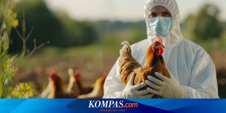 From Poultry to Mammals: Pandemic Threat Looms