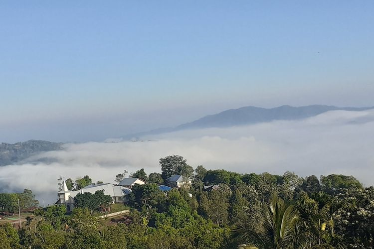 Embun Pagi di Kampung Lembah Wajur, Desa Wajur, Kec. Kuwus Barat, Manggarai Barat, Flores, NTT, Sabtu, (19/10/2019). (KOMPAS.com/MARKUS MAKUR)