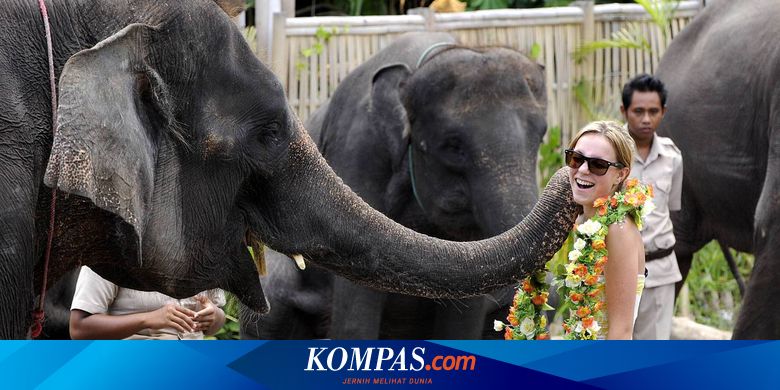 Harga Tiket Bali Safari Marine Park 2020, Begini Cara ...
