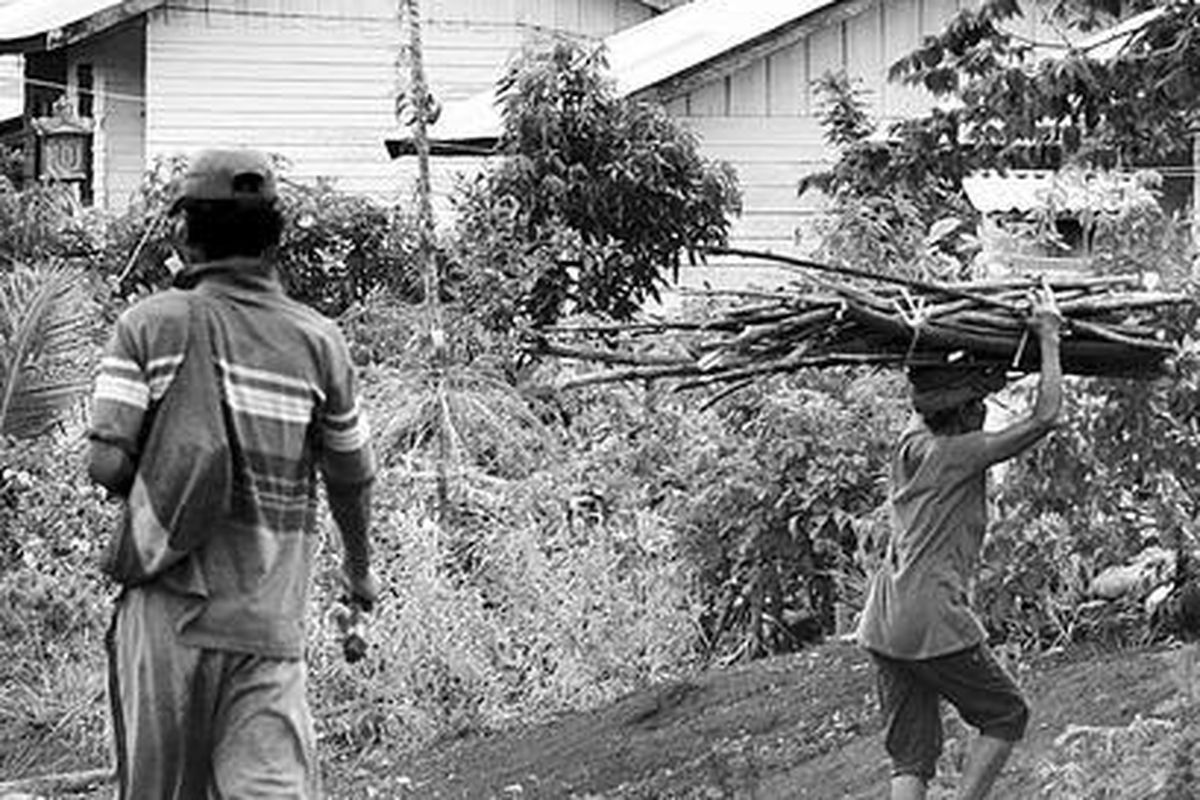 Warga transmigrasi pulang dari mencari kayu bakar di Desa Baoea, Kecamatan Bungku Barat, Kabupaten Morowali, Sulawesi Tengah, beberapa waktu lalu. Ratusan warga transmigrasi di Morowali kini telantar akibat lahan pertanian yang bermasalah dan sebagian diklaim oleh warga setempat.