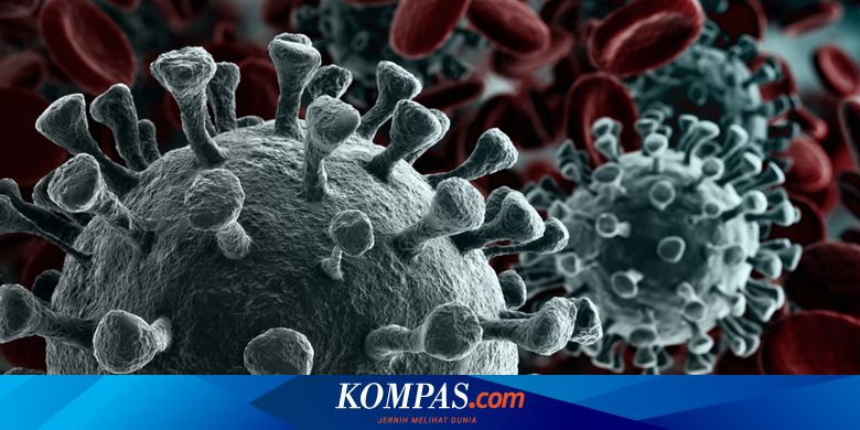 Who Beri Perhatian Penularan Virus Antara Hewan Dan Manusia Mengapa Halaman All Kompas Com