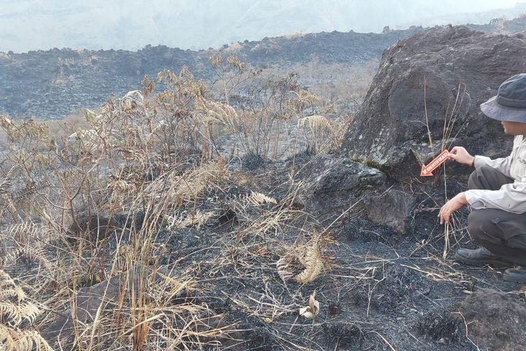 Polisi lakukan identifikasi munculnya kebakaran di Gunung Arjuno Welirang.