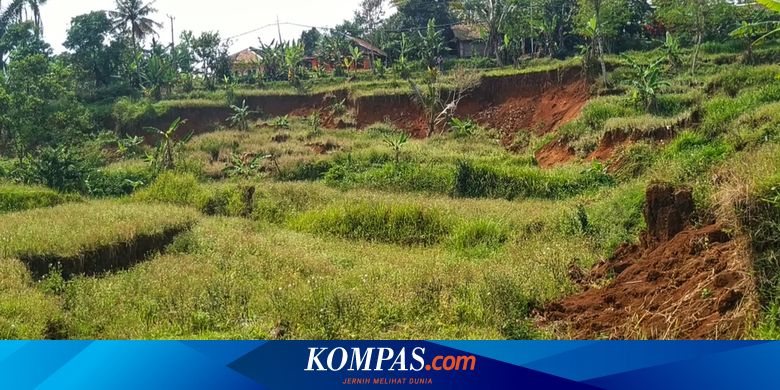 Persawahan Ambles di Nyalindung Sukabumi, Tanahnya Masih Bergerak Secara Perlahan