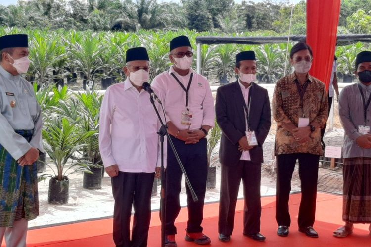 Wakil Presiden Ma'ruf Amin memberikan keterangan pers setelah meninjau penanaman sawit di Kampar, Kamis (25/8/2022). 