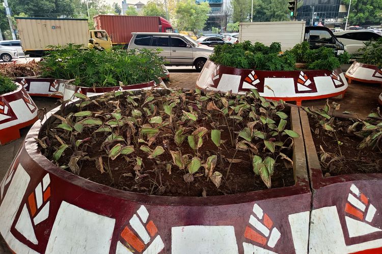 Taman di Bawah Beton Jakarta: Hijau Saat Diresmikan, Gersang Kemudian