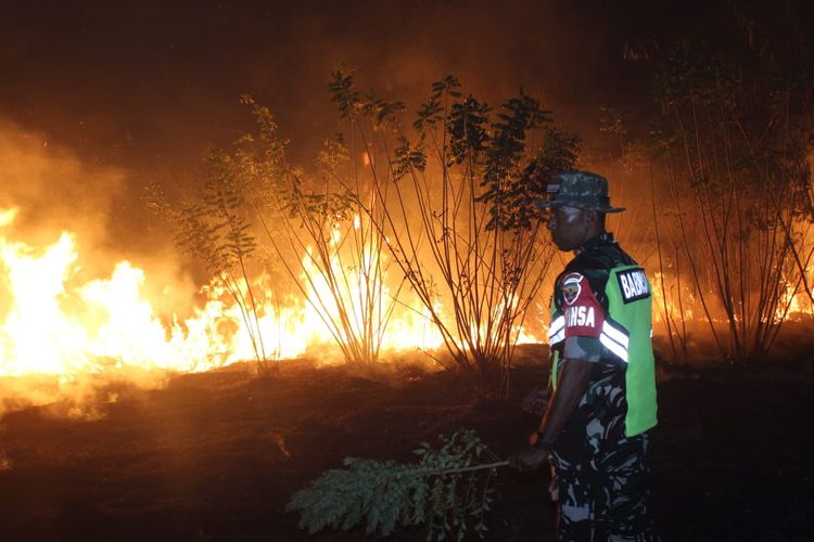 Kebakaran Lahan 4 Hektare di Sikka Belum Padam, Petugas Gunakan Daun Basah